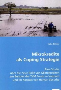 Mikrokredite als Coping Strategie - Gilmer, Imke