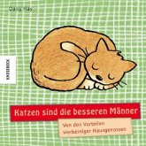 Katzen sind die besseren Männer