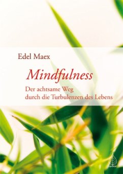 Mindfulness - Maex, Edel