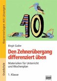 Den Zehnerübergang differenziert üben