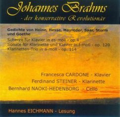 Cover Konservative Revolutionär