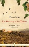 Ein Weinberg in der Toskana