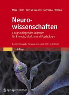 Neurowissenschaften - Bear, Mark F.; Connors, Barry W.; Paradiso, Michael A.