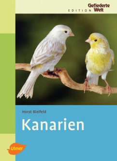 Kanarien - Bielfeld, Horst