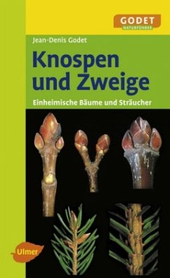 Knospen und Zweige - Godet, Jean-Denis