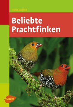 Beliebte Prachtfinken - Bielfeld, Horst