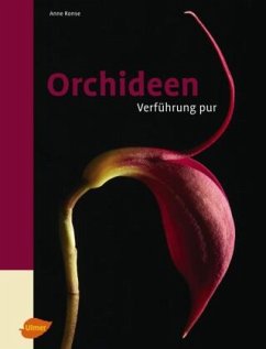Orchideen - Ronse, Anne