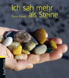 Ich sah mehr als Steine - Klever, Peter