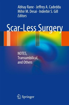 Scar-Less Surgery - Rane, Abhay / Cadeddu, Jeffrey A. / Desai, Mihir M. et al. (Hrsg.)