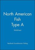 North American Fish: Type a Wallchart
