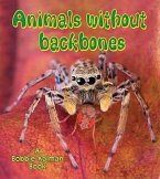 Animals Without Backbones