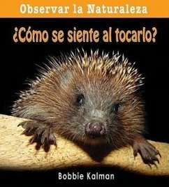 ¿Cómo Se Siente Al Tocarlo? (How Does It Feel?) - Kalman, Bobbie