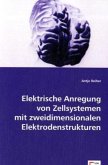 Elektrische Anregung von Zellsystemen mit zweidimensionalen Elektrodenstrukturen