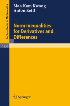 Norm Inequalities for Derivatives and Differences - Kwong, Man K.;Zettl, Anton