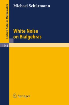 White Noise on Bialgebras - Schürmann, Michael