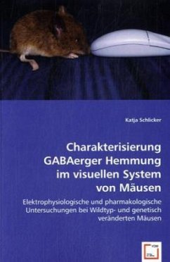 Charakterisierung GABAerger Hemmung im visuellen System von Mäusen - Schlicker, Katja