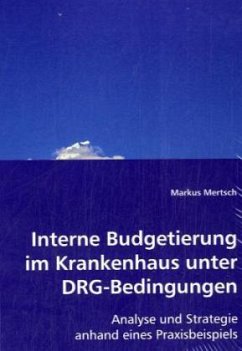 Interne Budgetierung im Krankenhaus unter DRG-Bedingungen - Mertsch, Markus