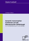 Dynamik meromorpher Funktionen auf der Riemannschen Zahlenkugel Dynamik meromorpher Funktionen auf der Riemannschen Zahlenkugel