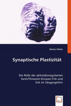 Synaptische Plastizität - Weiler, Markus