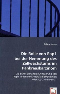 Die Rolle von Rap1 bei der Hemmung des Zellwachstums im Pankreaskarzinom. - Lorenz, Richard