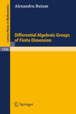 Differential Algebraic Groups of Finite Dimension - Buium, Alexandru