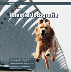 Haustierfotografie - Walker, Paul