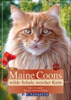 Maine Coon - Malcus, Kerstin