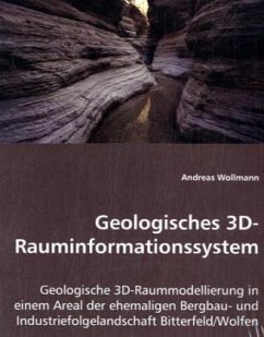 Geologisches 3D-Rauminformationssystem - Wollmann, Andreas