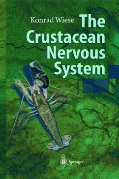 The Crustacean Nervous System - Wiese, Konrad (ed.)