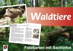 Waldtiere - Fotokarten mit Sachinfos - Jung, Heike