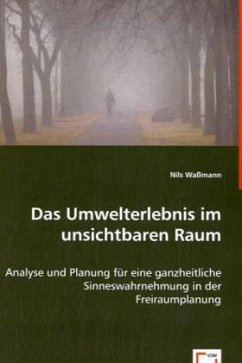 Das Umwelterlebnis im unsichtbaren Raum - Waßmann, Nils