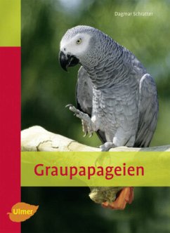 Graupapageien - Schratter, Dagmar