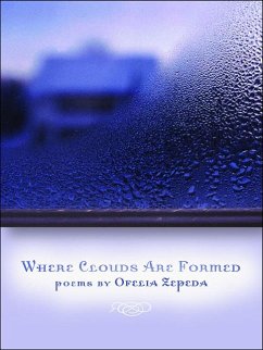 Where Clouds Are Formed - Zepeda, Ofelia