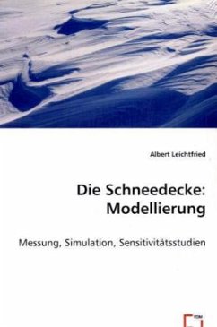Die Schneedecke: Modellierung - Leichtfried, Albert
