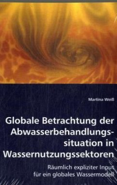 Globale Betrachtung der Abwasserbehandlungssituation in Wassernutzungssektoren - Weiß, Martina