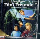 Fünf Freunde erforschen die Schatzinsel / Fünf Freunde Bd.20 (1 Audio-CD)