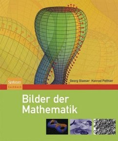 Bilder der Mathematik - Glaeser, Georg / Polthier, Konrad