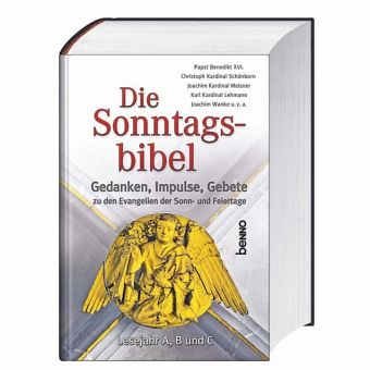 Die Sonntagsbibel