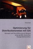 Optimierung für Distributionsnetze mit GIS