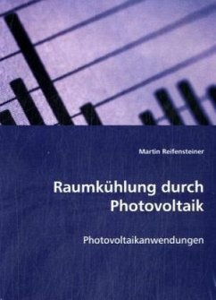 Raumkühlung durch Photovoltaik - Reifensteiner, Martin