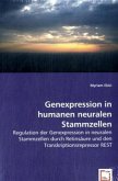 Genexpression in humanen neuralen Stammzellen