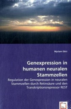 Genexpression in humanen neuralen Stammzellen - Ekici, Myriam