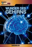 Durchblick - Wunder des Gehirns