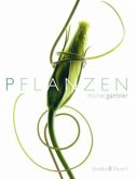 Pflanzen Pflanzen