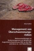 Management von Überschwemmungsrisiken