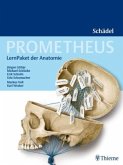 Prometheus Schädel, LernPaket der Anatomie