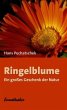 Ringelblume - Bild 1