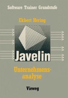 Unternehmensanalyse mit Javelin - Hering, Ekbert