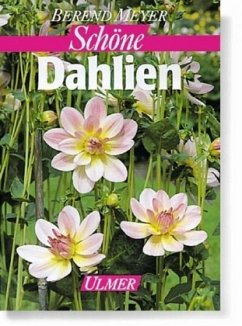 Schöne Dahlien