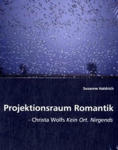 Projektionsraum Romantik - Haldrich, Susanne